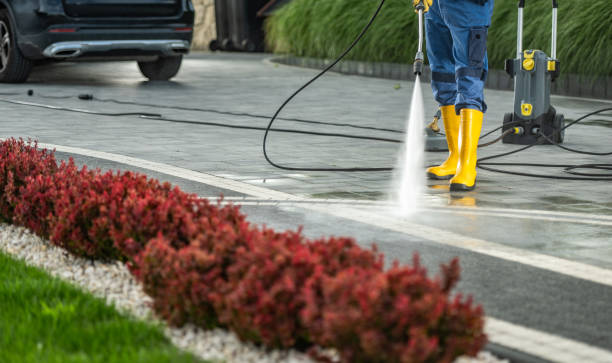 Best Vinyl Siding Pressure Washing in Marquette Heights, IL